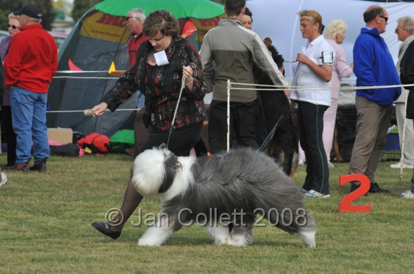 DOG_7374.JPG