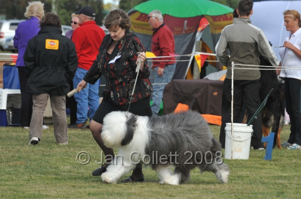 DOG_7376.JPG