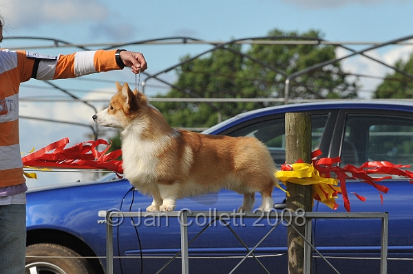 DOG_7394.JPG