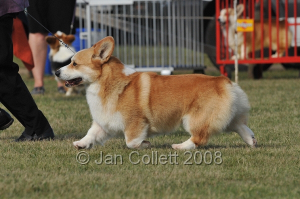 DOG_7405.JPG