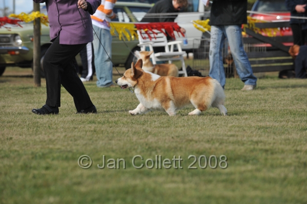 DOG_7406.JPG