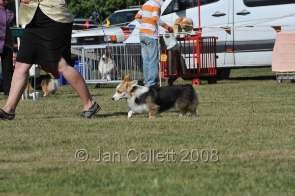 DOG_7413.JPG