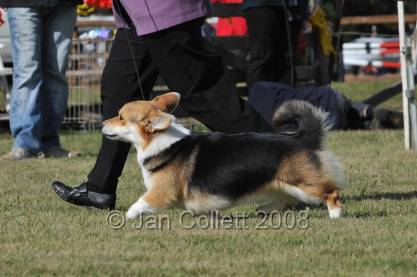 DOG_7416.JPG