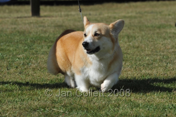DOG_7418.JPG