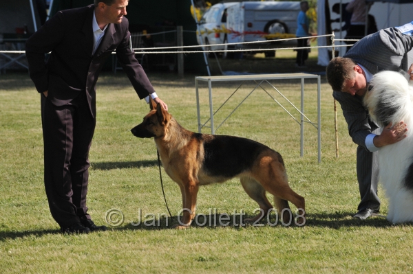 DOG_7427.JPG