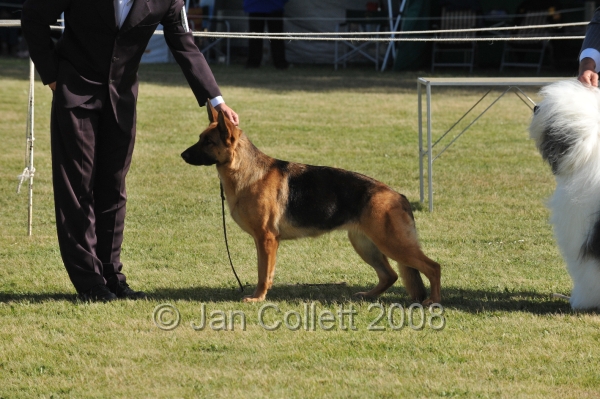DOG_7428.JPG