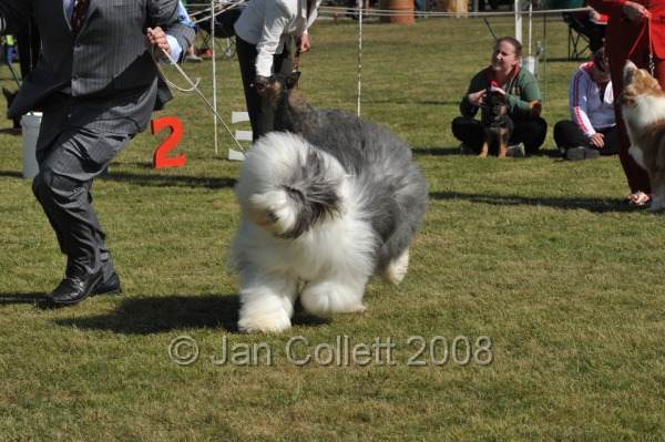 DOG_7435.JPG