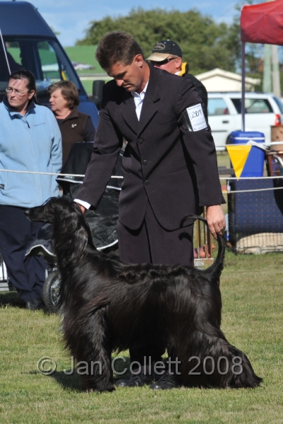 DOG_7455.JPG