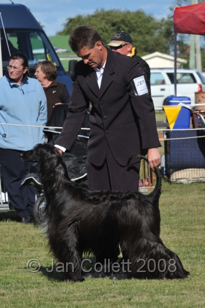 DOG_7457.JPG