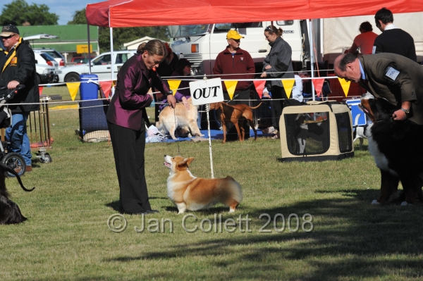 DOG_7460.JPG