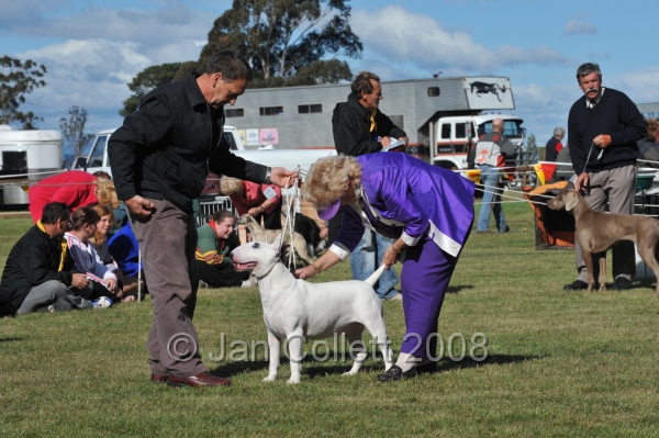 DOG_7463.JPG