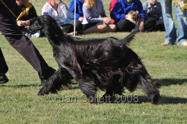 DOG_7477.JPG