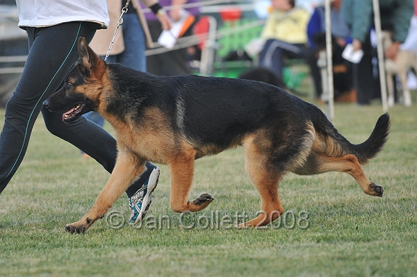DOG_7592.JPG