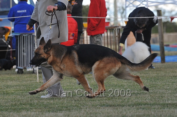 DOG_7676.JPG