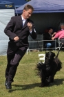 DOG_6245