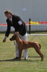 DOG_6368