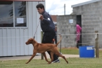 DOG_6749
