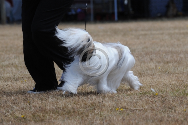 W24_09251.JPG - It was a windy day