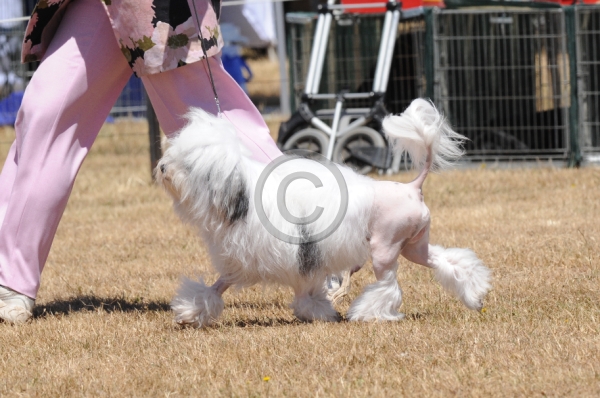 WTK_0367.JPG