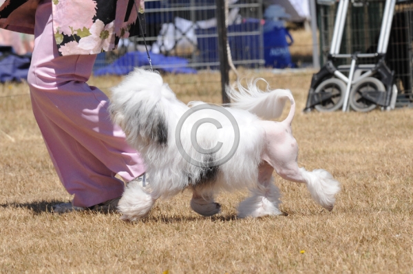 WTK_0368.JPG