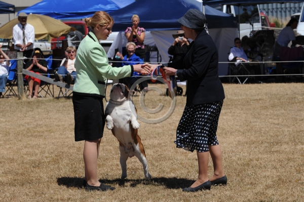 DogShow_20090125_WTKC"