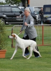 TAS_8617
