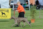 TAS_8700