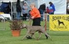 TAS_8737