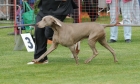 TAS_8776