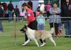 TAS_8820