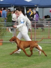 TAS_8841