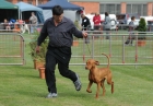TAS_8850