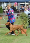TAS_8874