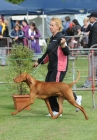 TAS_8893
