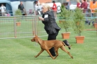 TAS_8898
