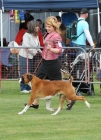 TAS_8944