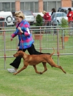 TAS_8979