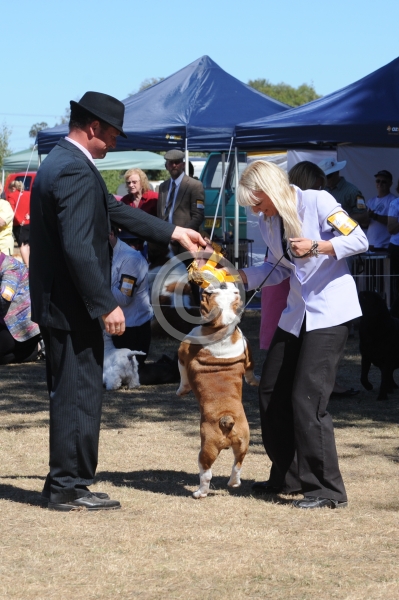 DogShow_20100123_WTKC"