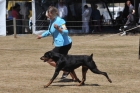 AUS_3696