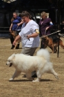 AUS_3846