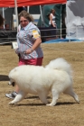 AUS_3868