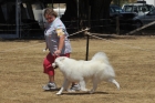 AUS_3886