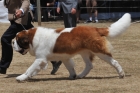 AUS_3971