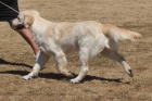 AUS_5367