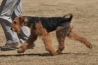 AUS_5536