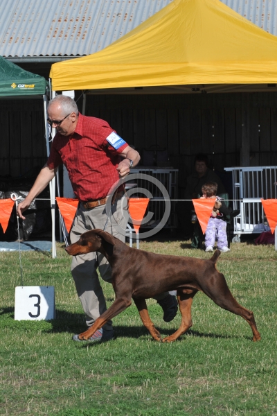 UKC_6734.JPG