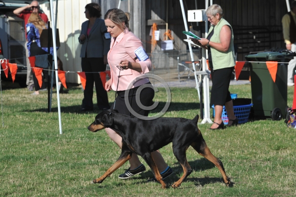 UKC_6791.JPG