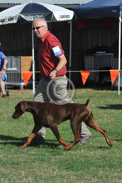 UKC_6806.JPG