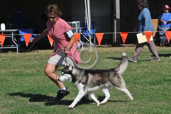 UKC_7032.JPG