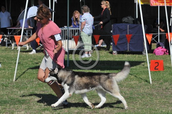 UKC_7038.JPG